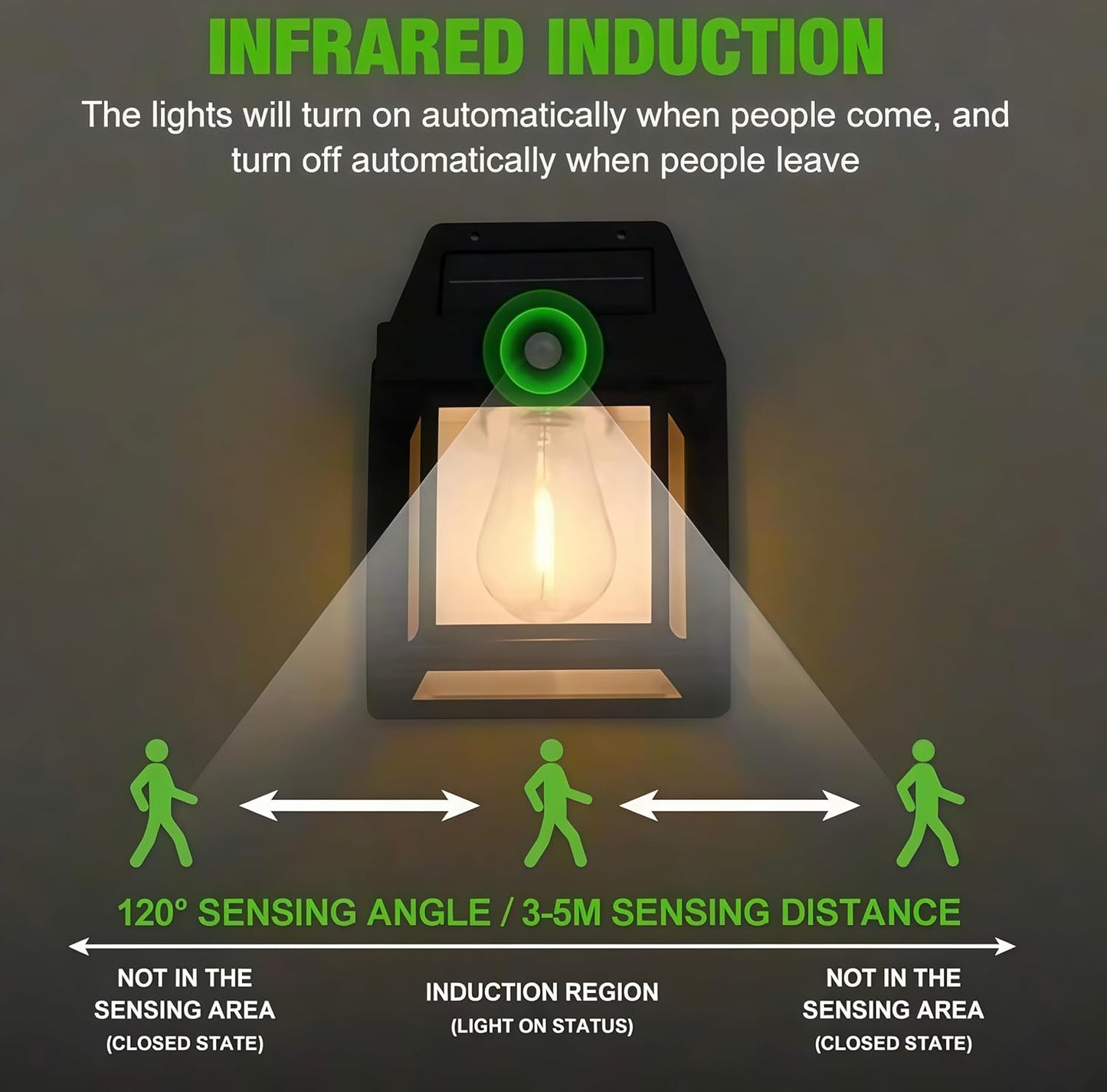 SOLAR INTERACTION WALL LAP