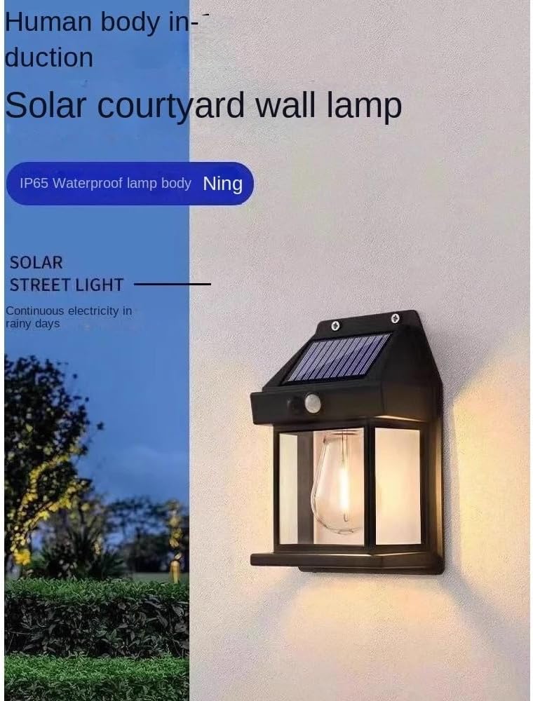 SOLAR INTERACTION WALL LAP