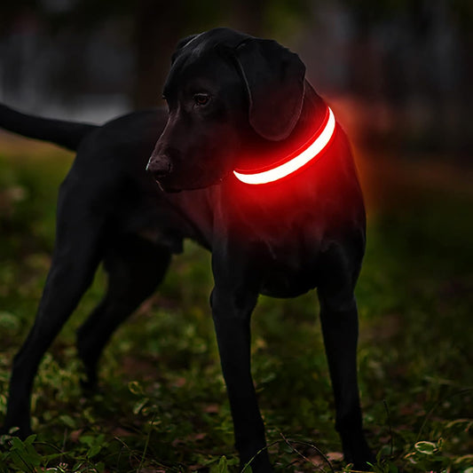 Collar Luminoso LED Recargable